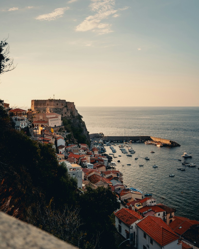 Scilla
